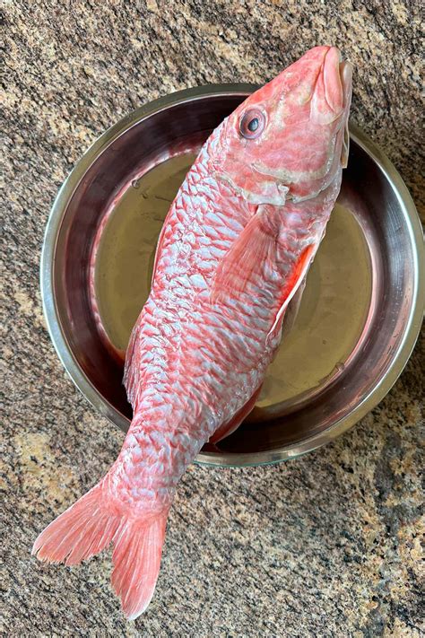 kumu fish|Chinese Steamed Fish .